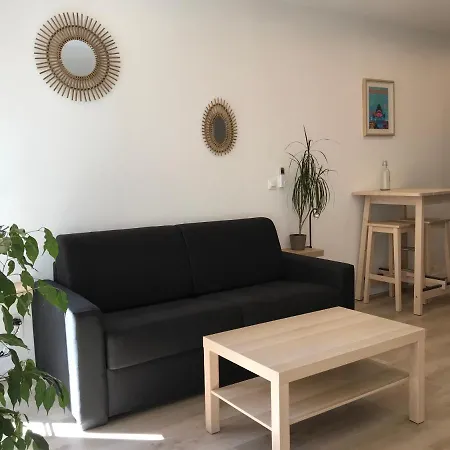 Port Moderne Hypercentre Lumineux Climatise 公寓 *